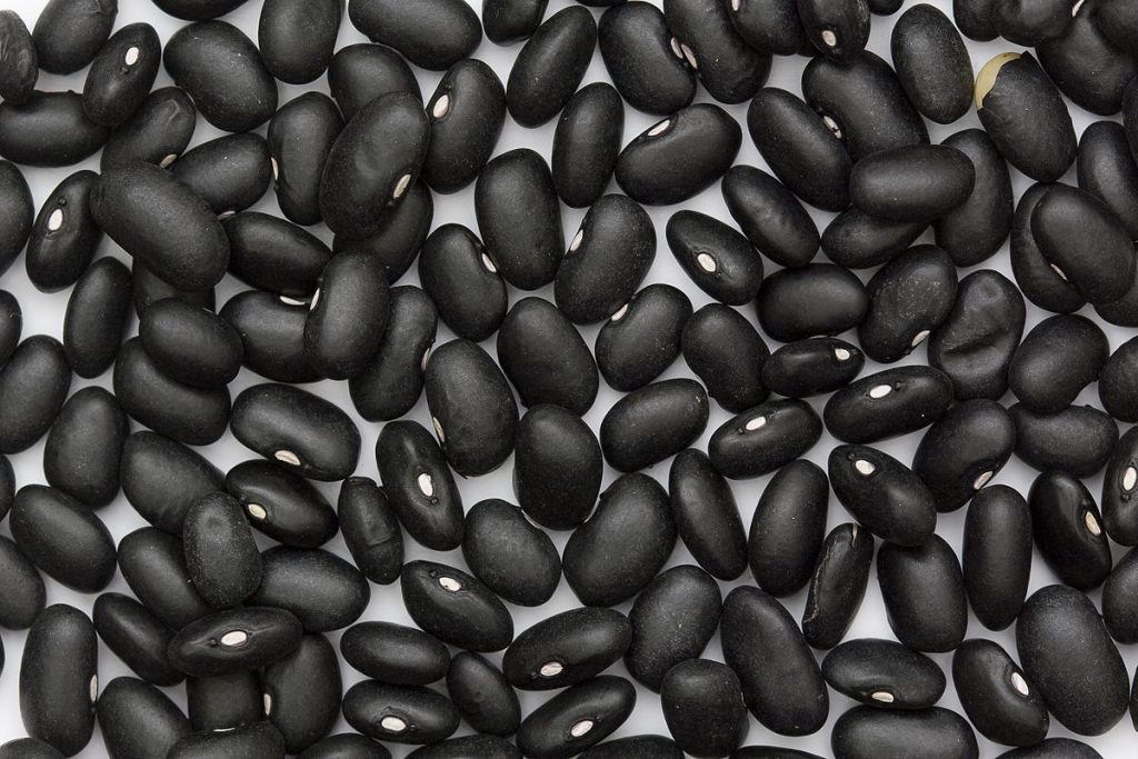 Image of black beans, black turtle beans